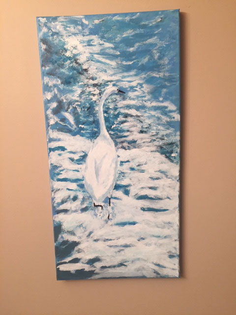 Egret in Mazatlan