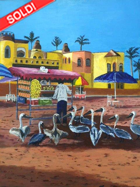 Hungry Pelicans